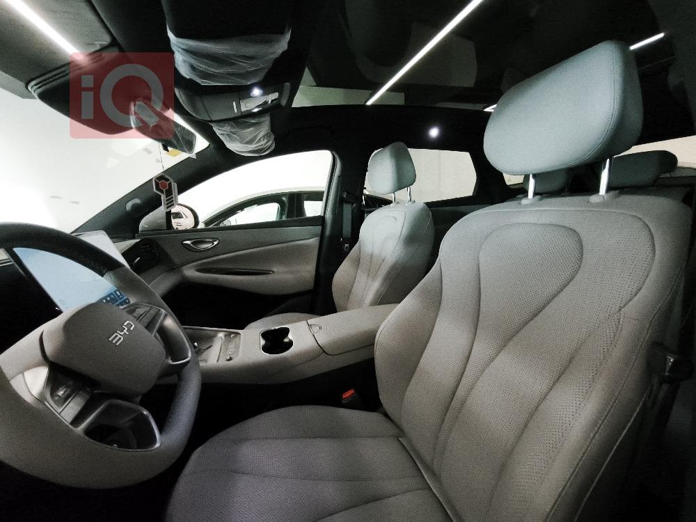 بي واي دي سيليون 06 DM-i